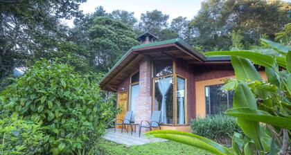 Toucanet Lodge