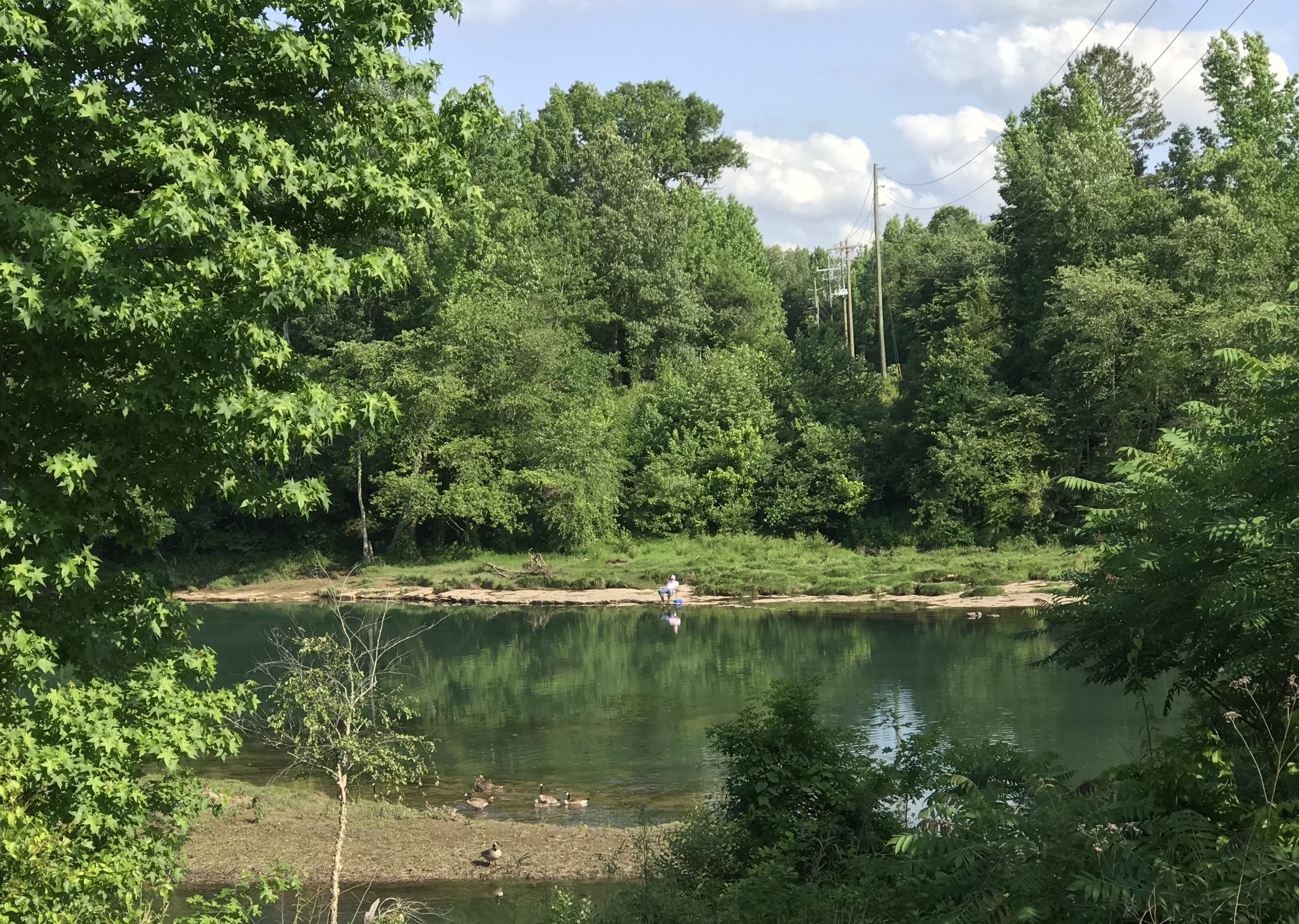 Fishing Cabin With Walking Access To Famous Little Red River At