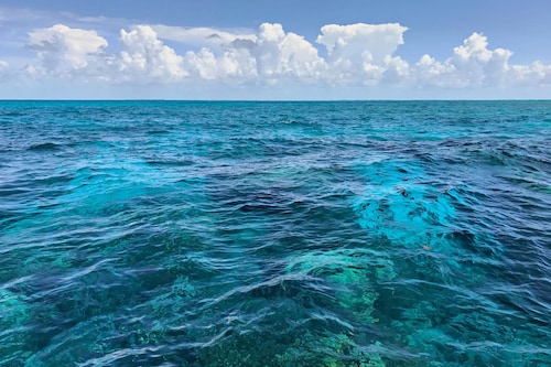 Best Gulf Coast Cottages For 2020 Find Cheap 57 Cottage Rentals