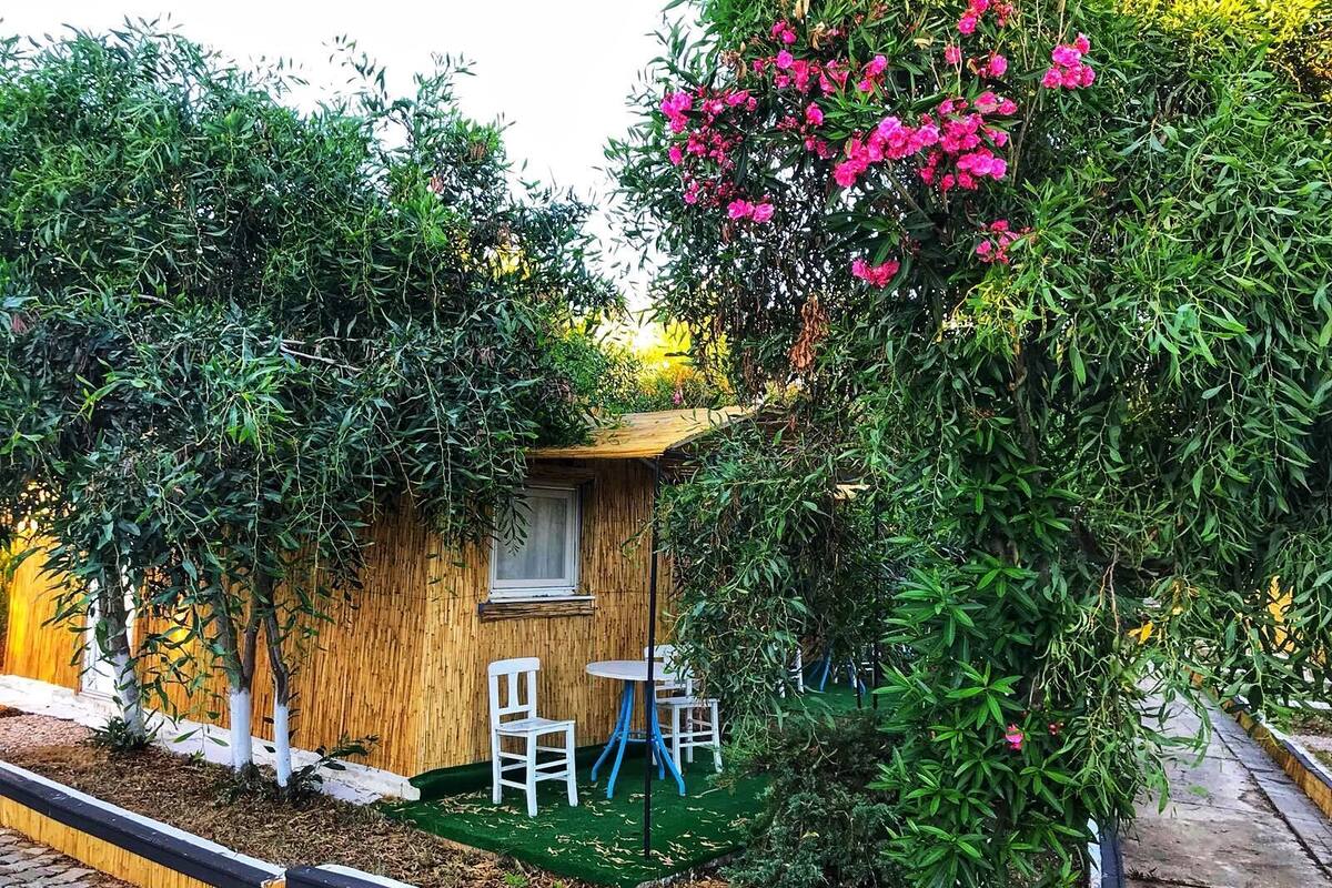 cesme ekolojik tatil koyu faciliteiten