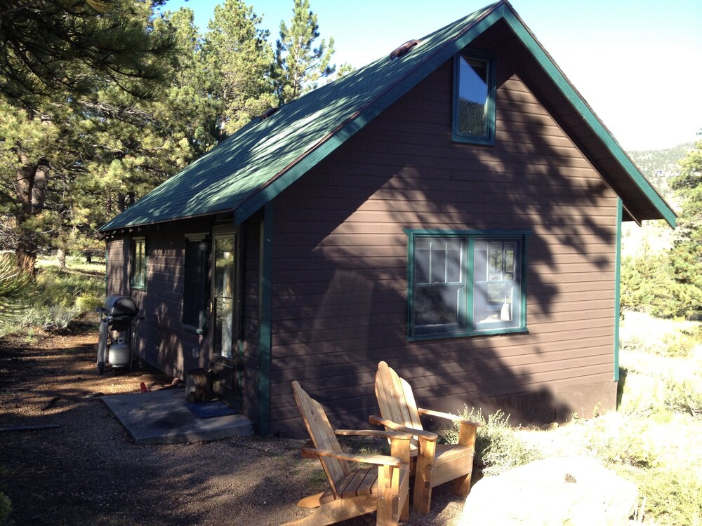 Mountain Cabin Neighbors Rocky Mountain National Park Ymca Of The