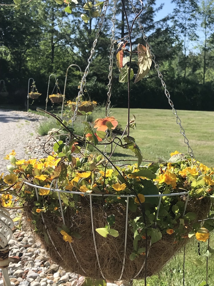 Martha's Vineyard Bed & Breakfast in South Haven Best Rates & Deals on Orbitz