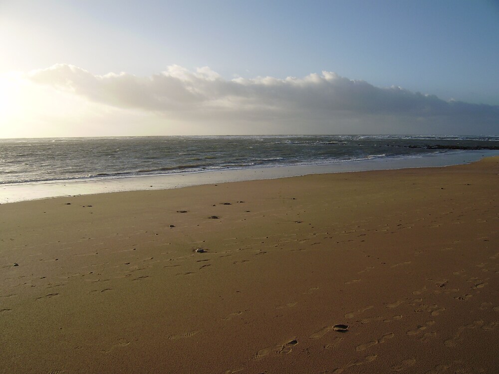 House Beach 200 M Sands Vineyards Oleron Island Domino 2019