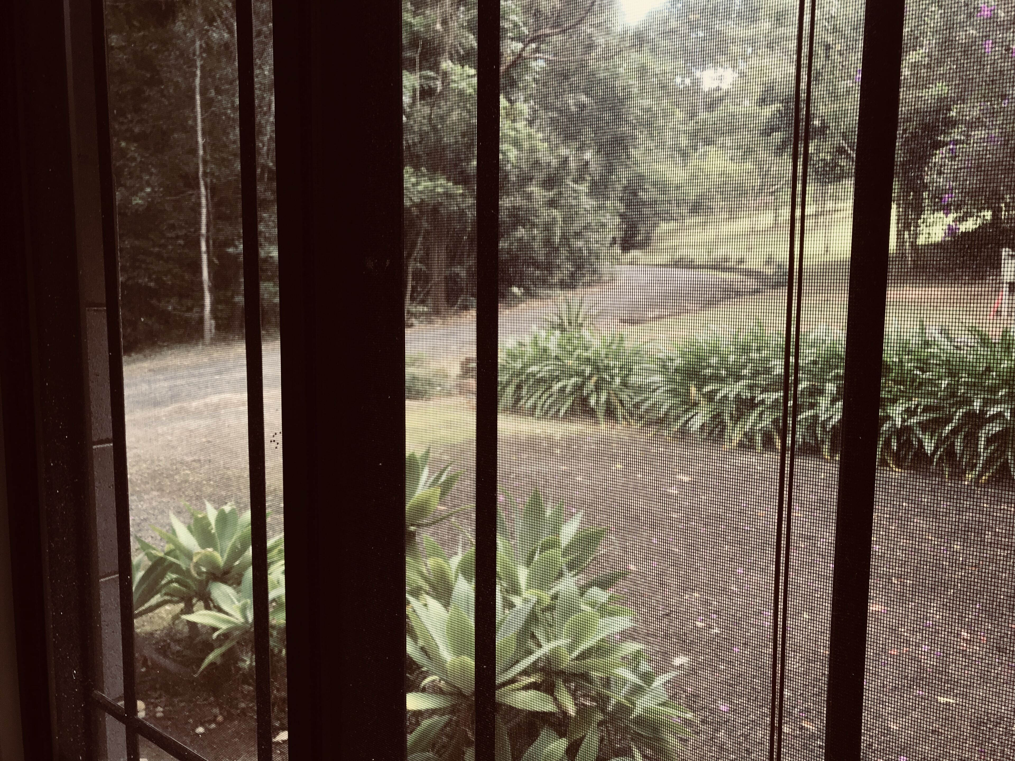 Cairns Tablelands - Luxury Riverside House