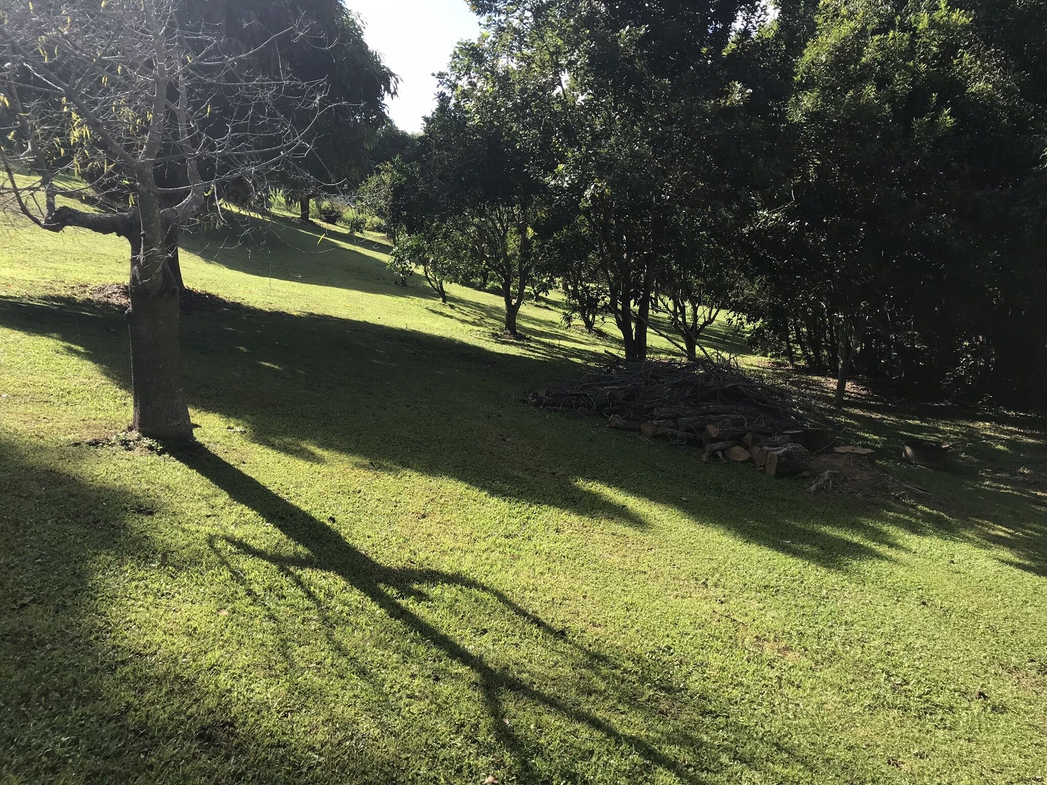Cairns Tablelands - Luxury Riverside House