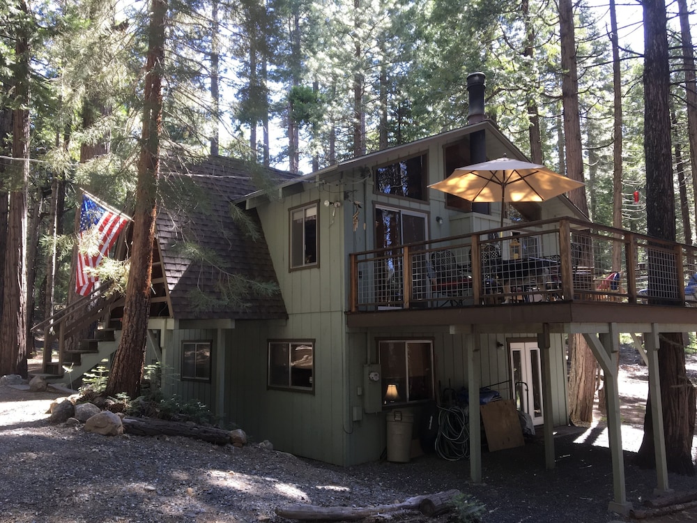 Big Trees Cozy Cabin In The Pines Pet Friendly 30 Minutes From