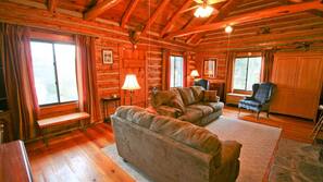 TV, fireplace, DVD player, books