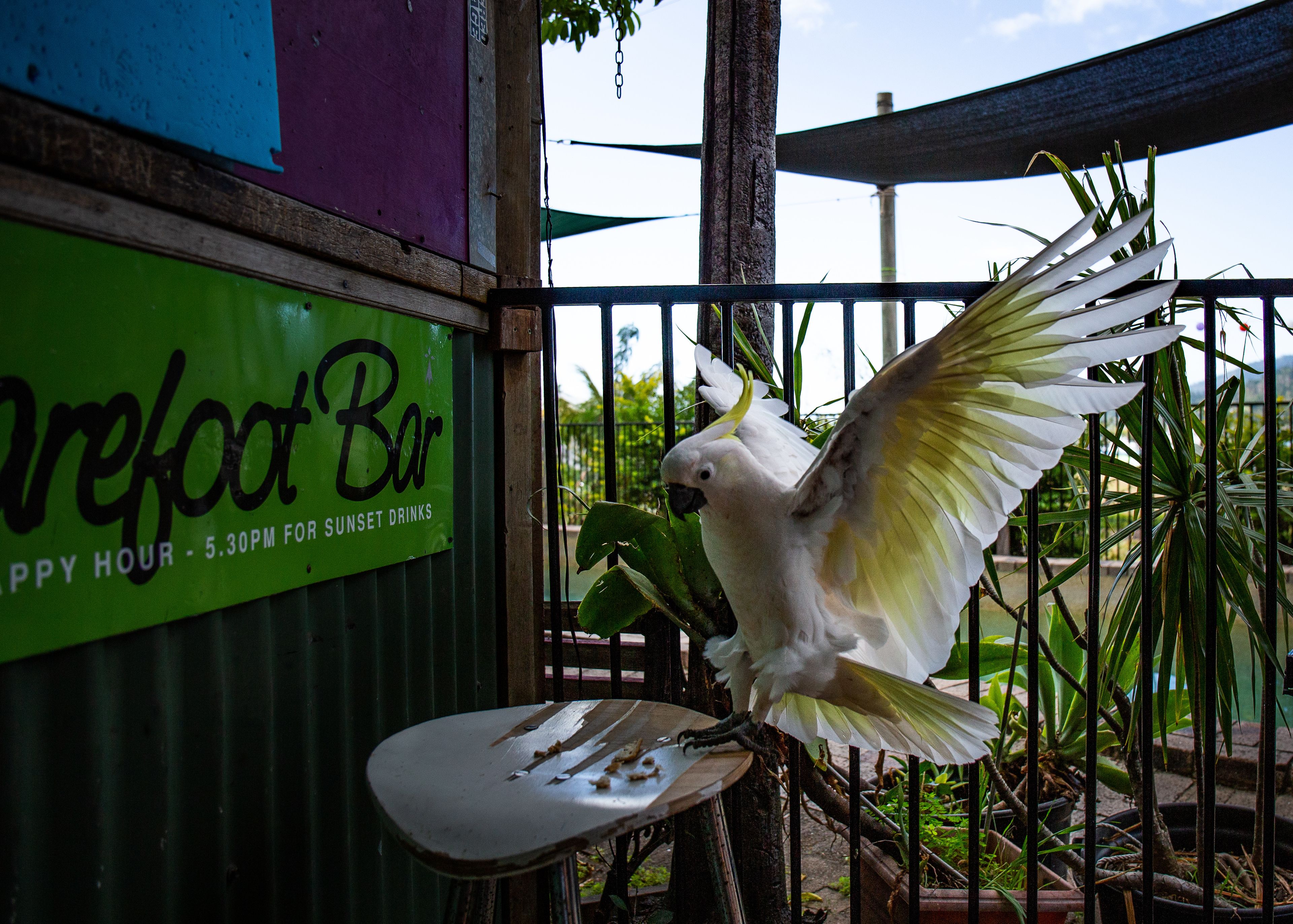 Backpackers By The Bay