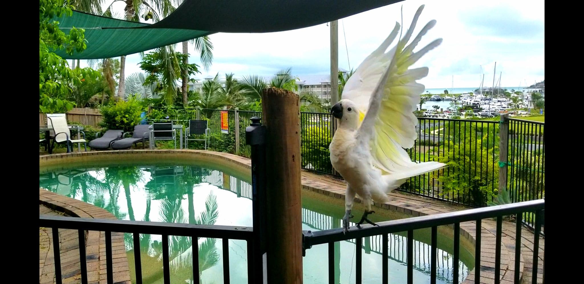 Backpackers By The Bay