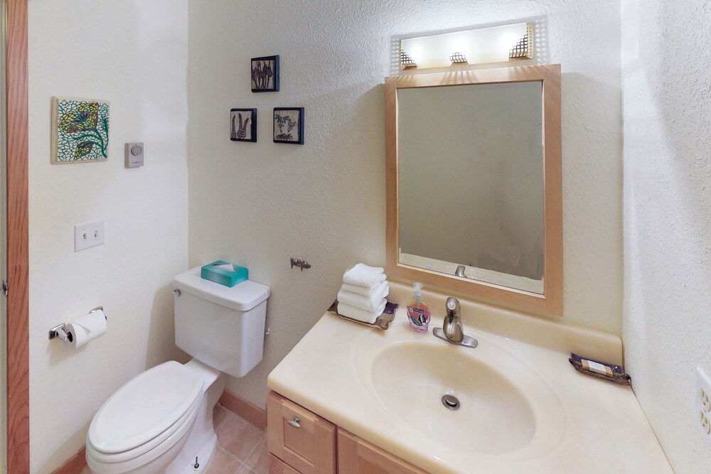 Bathroom, Renovated, dog-friendly condo w/ WiFi, mountain views - walk to lift