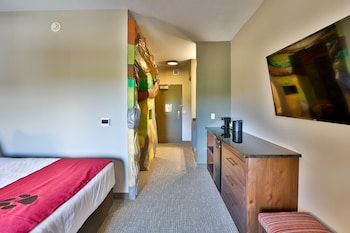 Great Wolf Lodge Atlanta Lagrange Ga Lagrange 2020 Room