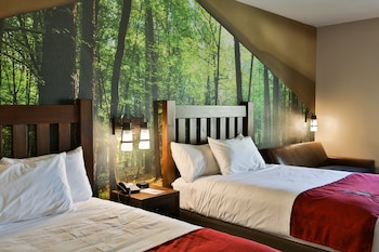 Great Wolf Lodge Atlanta Lagrange Ga Lagrange 2020 Room