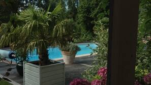 Seasonal outdoor pool, pool umbrellas, pool loungers