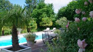 Seasonal outdoor pool, pool umbrellas, pool loungers