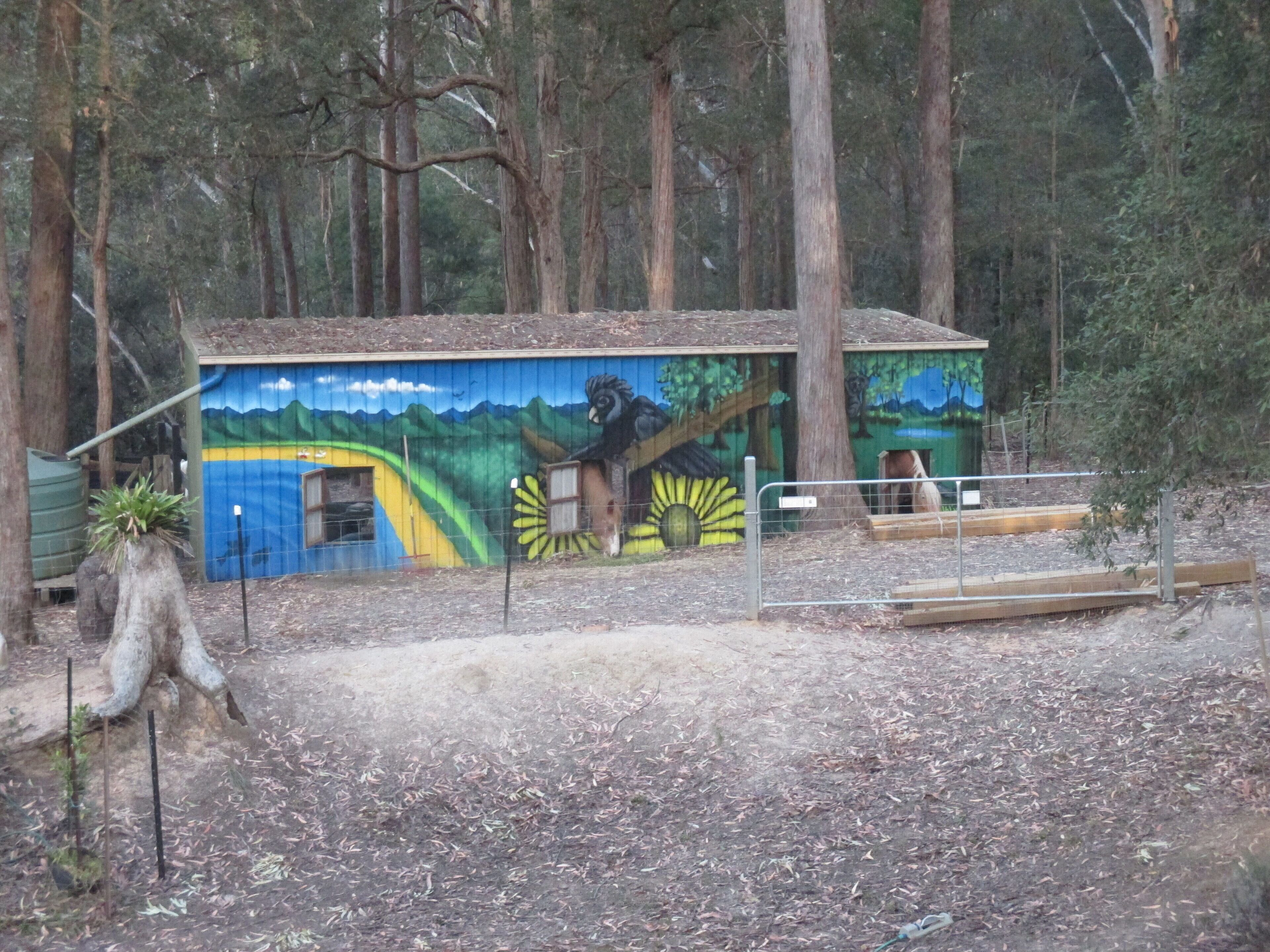 Ann's Coastal Farm - Lodge