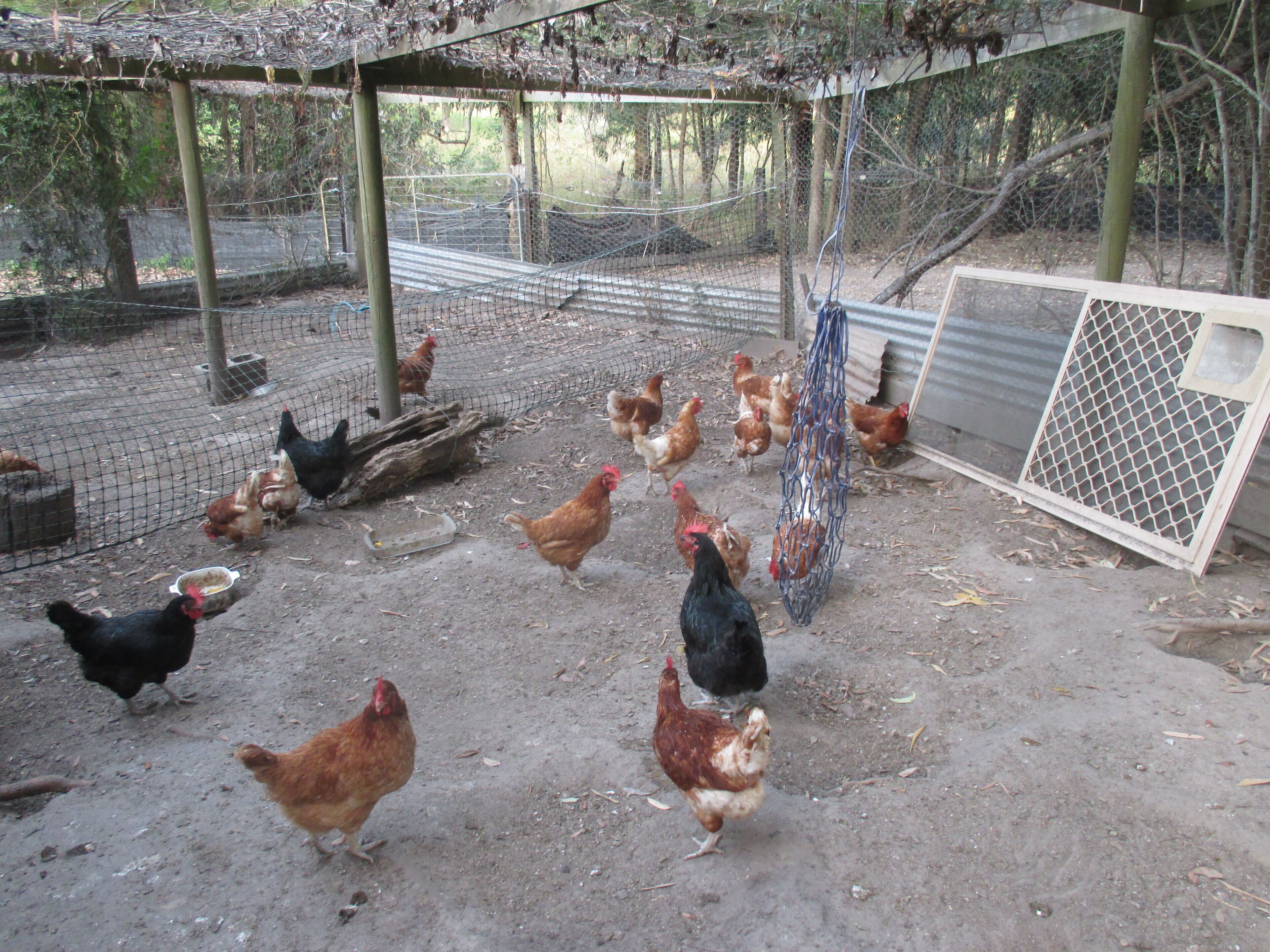 Ann's Coastal Farm - Lodge