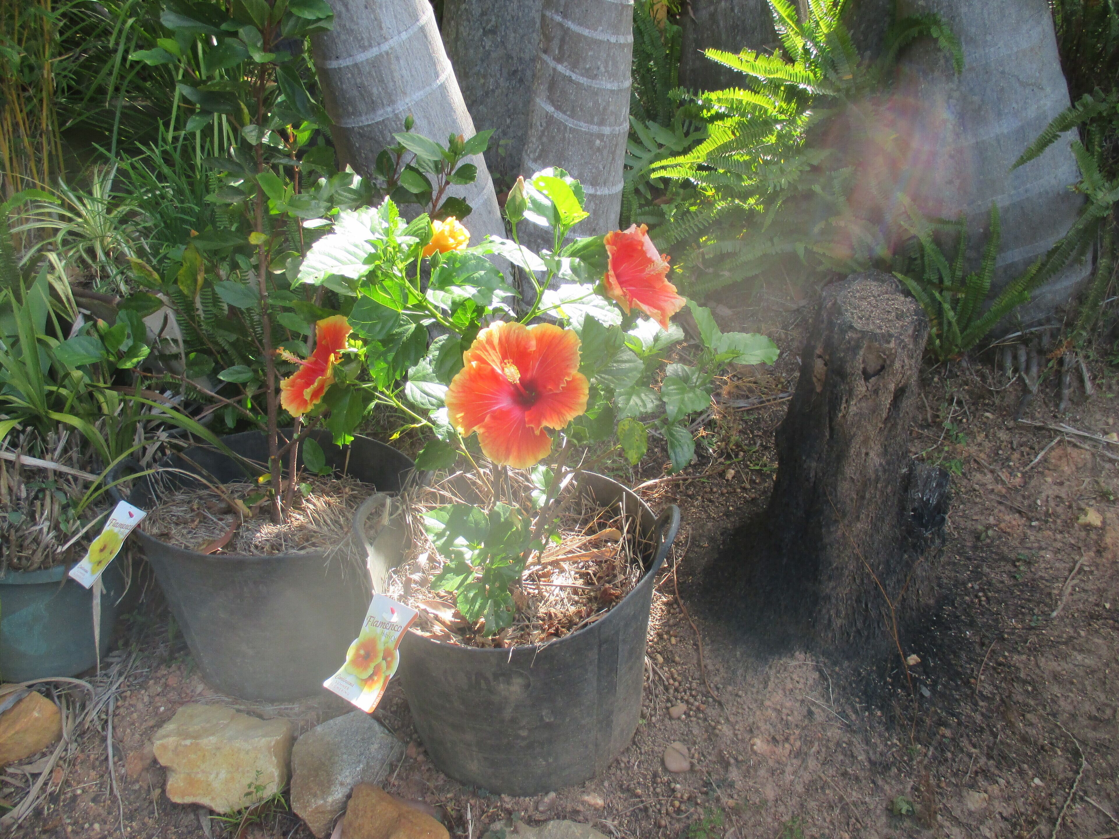 Ann's Coastal Farm - Lodge