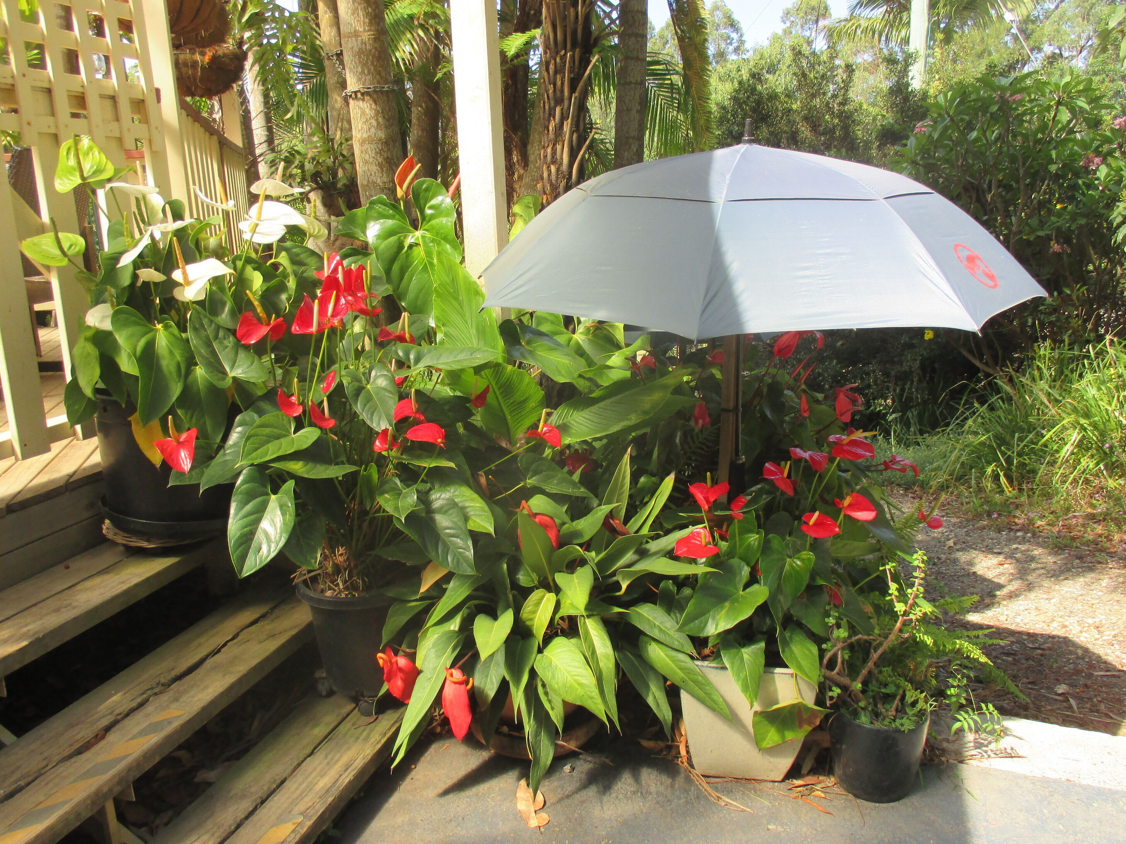 Ann's Coastal Farm - Lodge