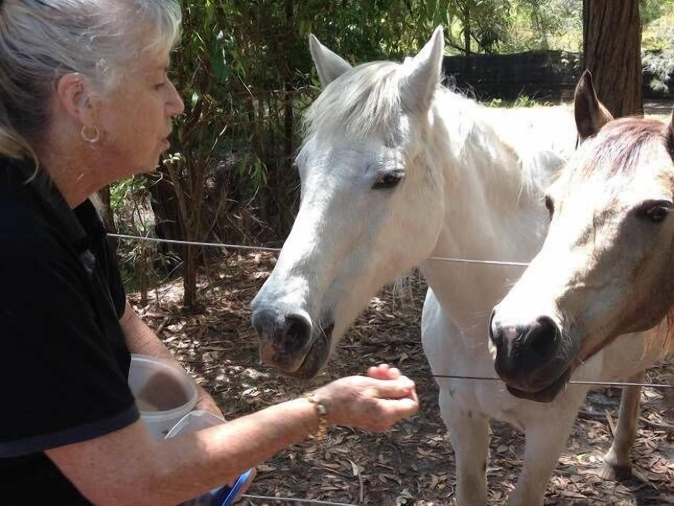 Ann's Coastal Farm - Lodge