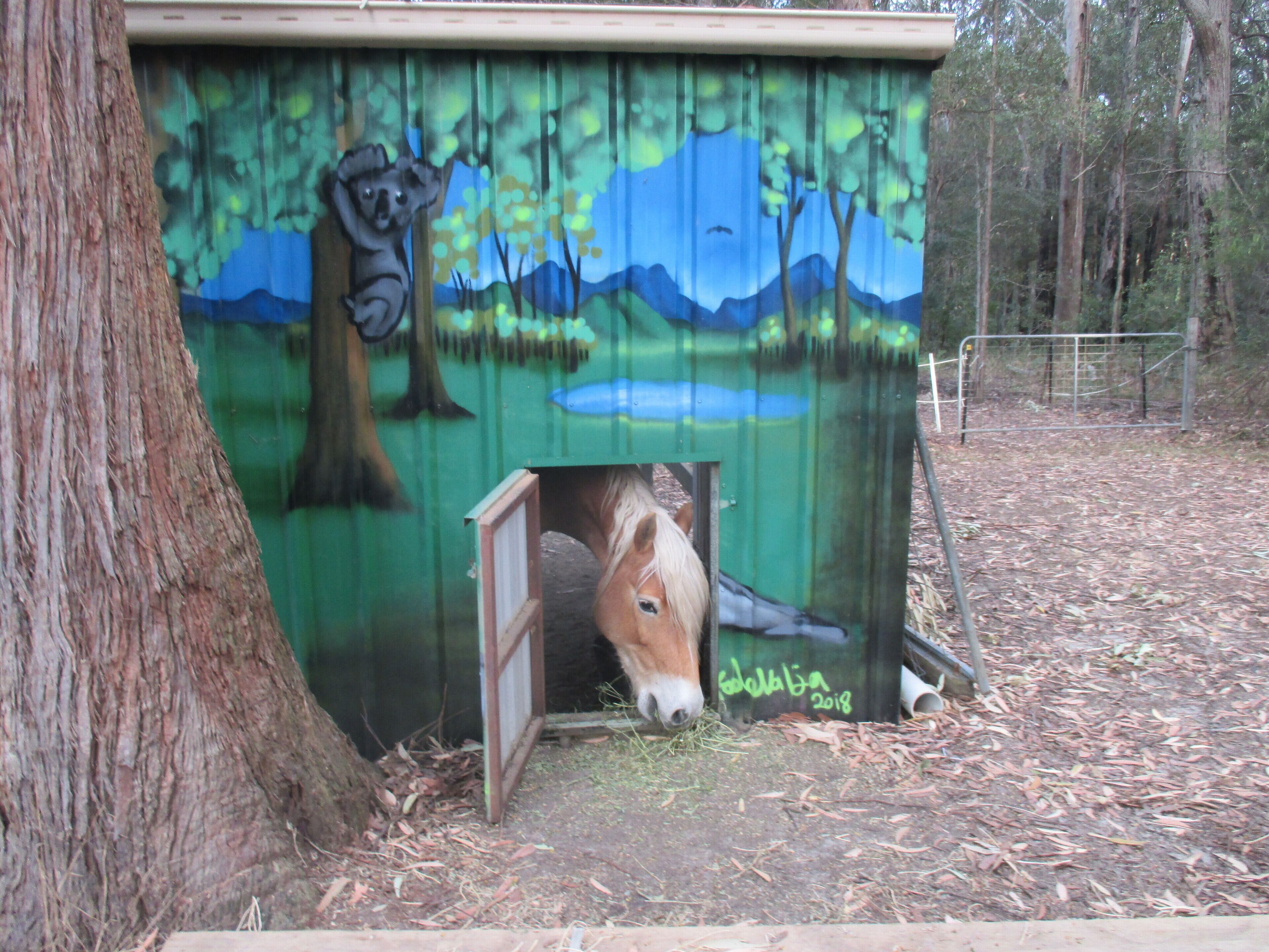 Ann's Coastal Farm - Lodge