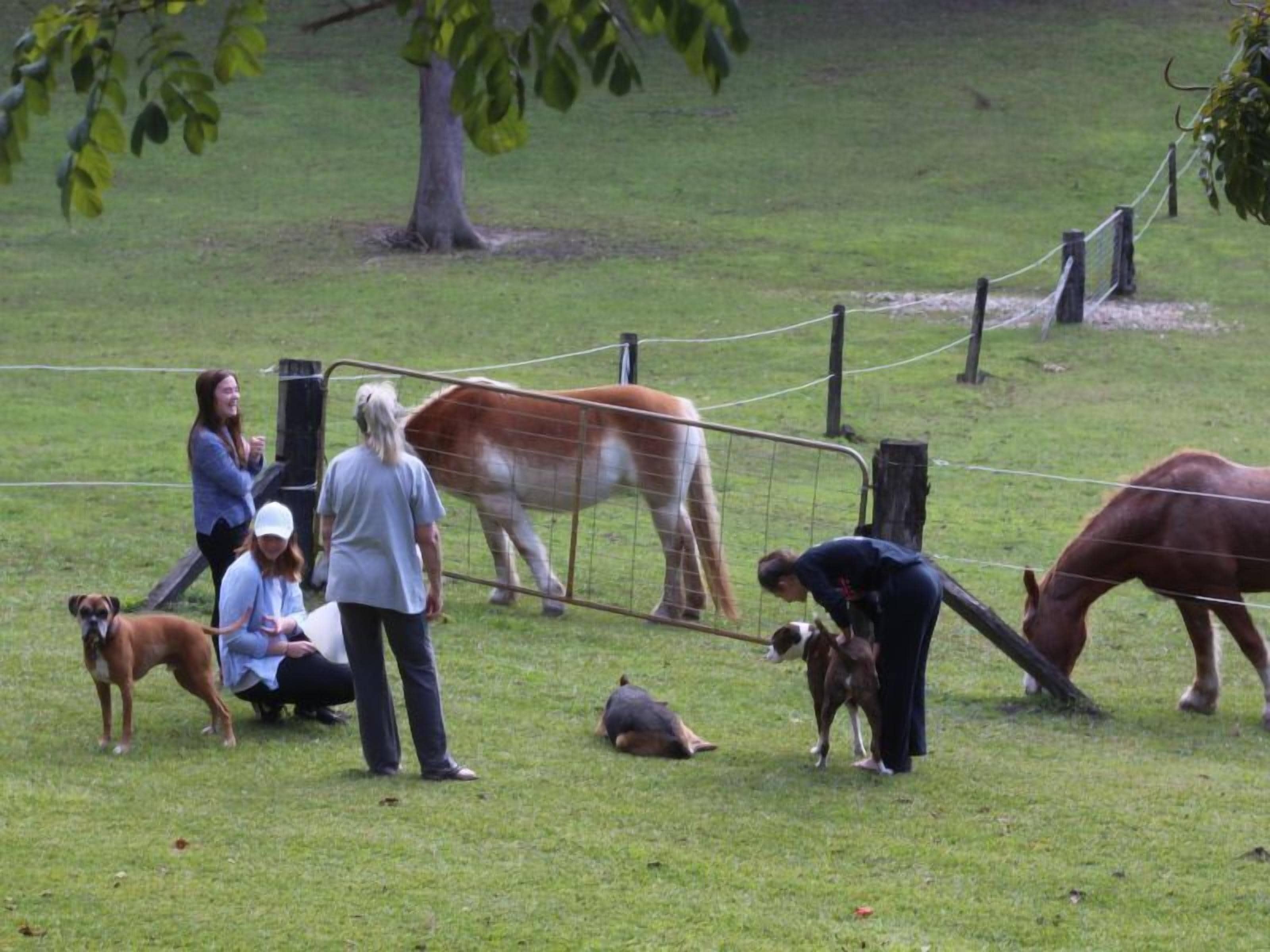 Ann's Coastal Farm - Lodge