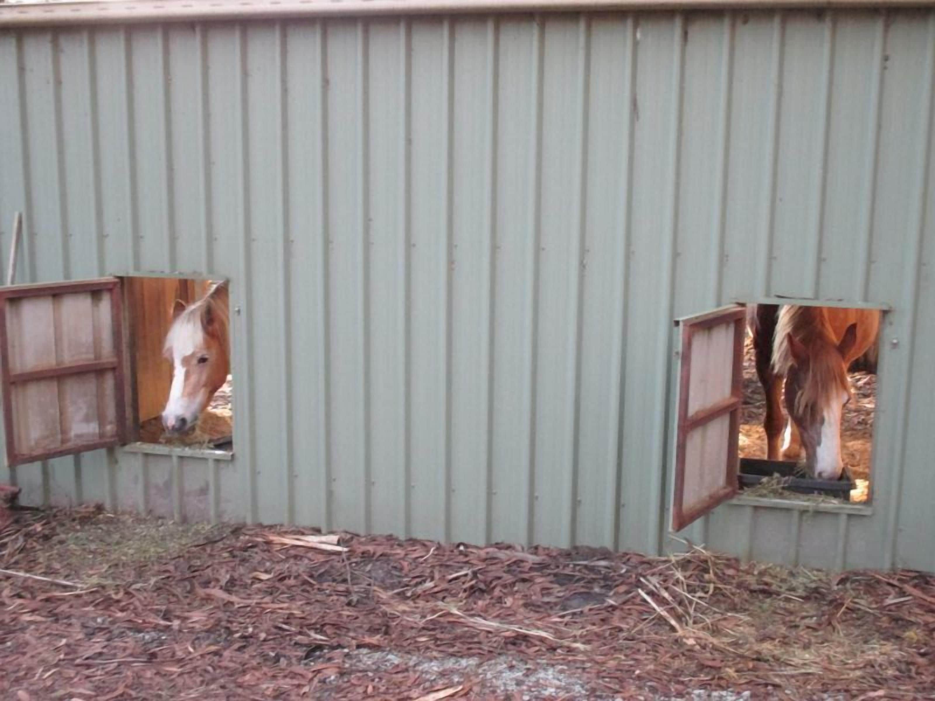 Ann's Coastal Farm - Lodge