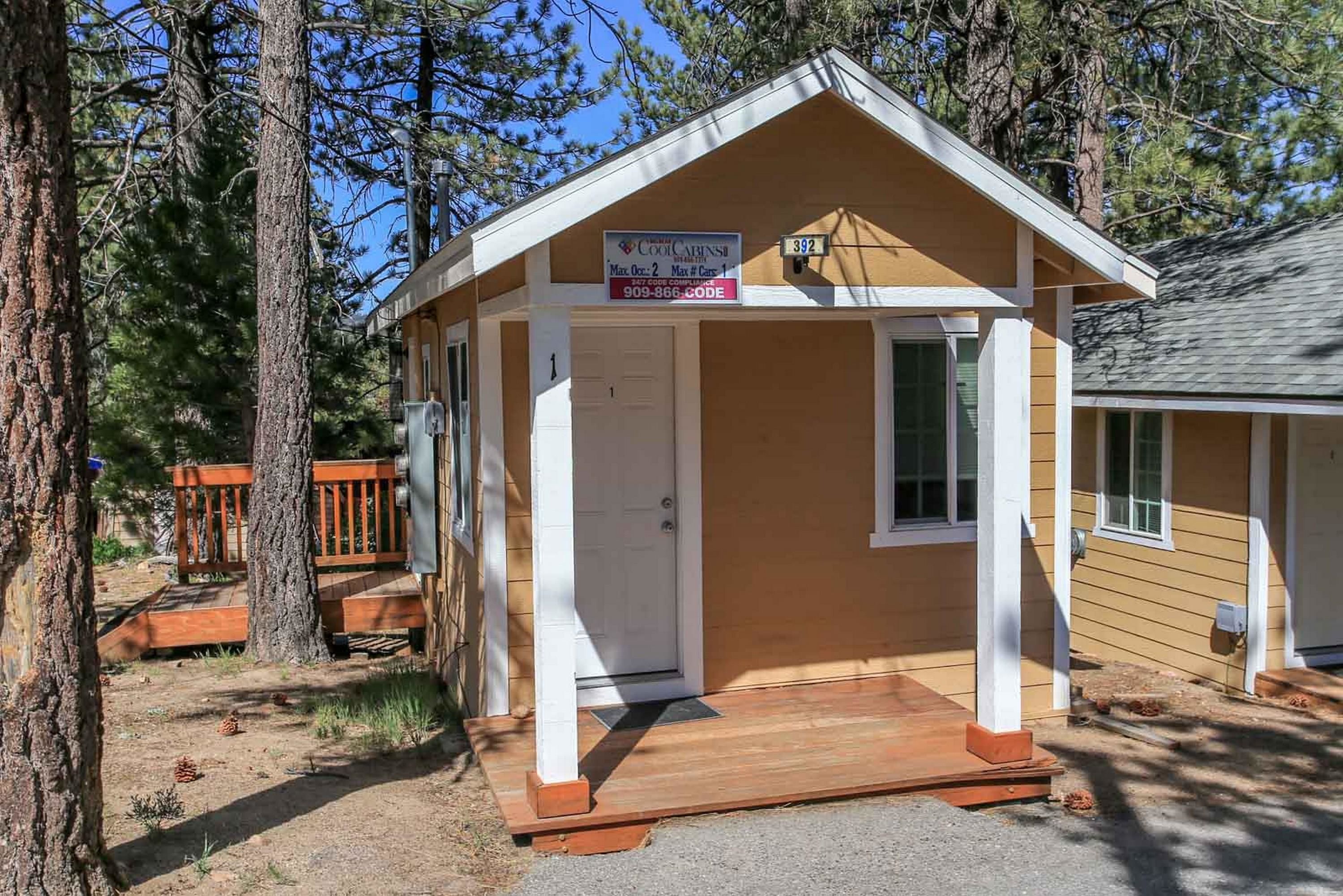 Baby Bear In Big Bear Lake Ca Expedia