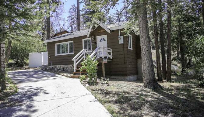 Grizzly Bear In Big Bear Lake Ca Expedia