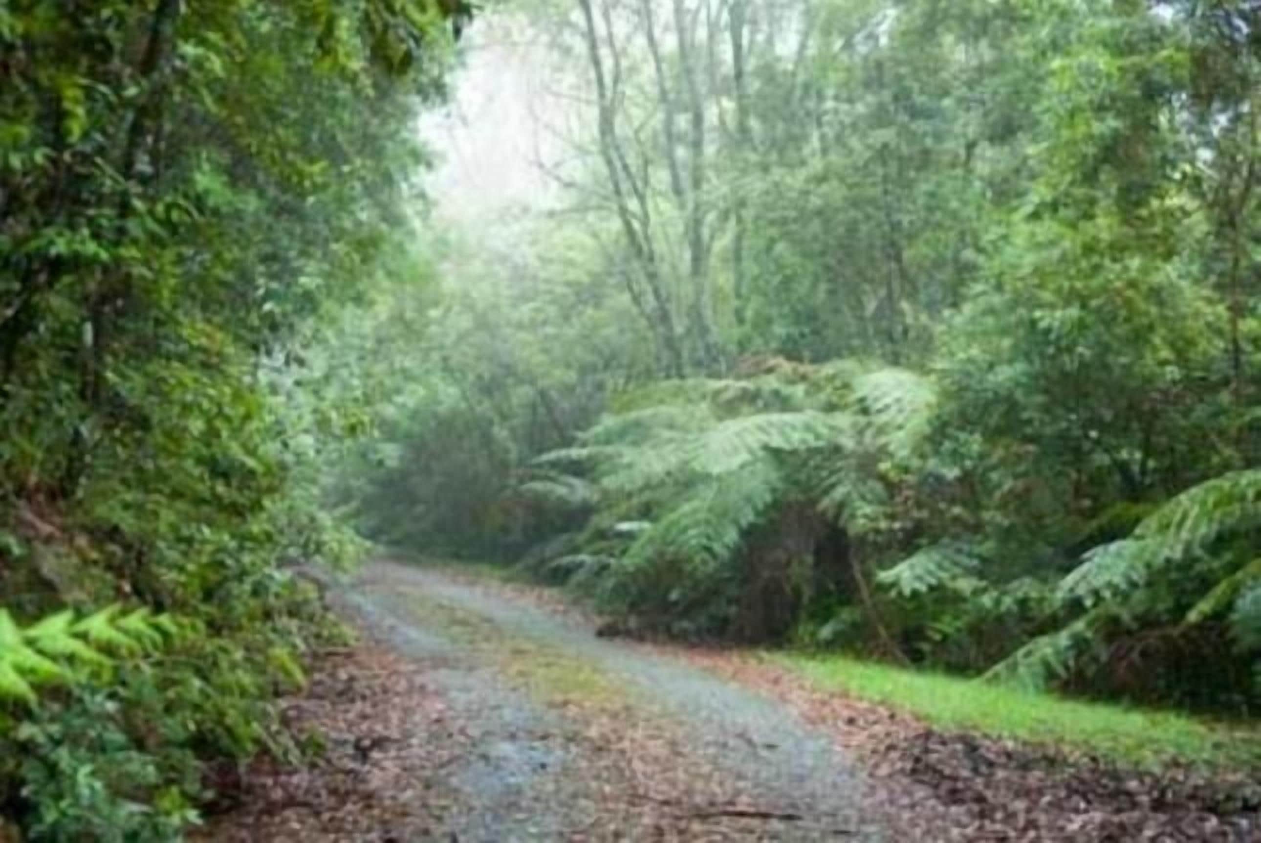 Ralda's Cottage Mt Christopherson