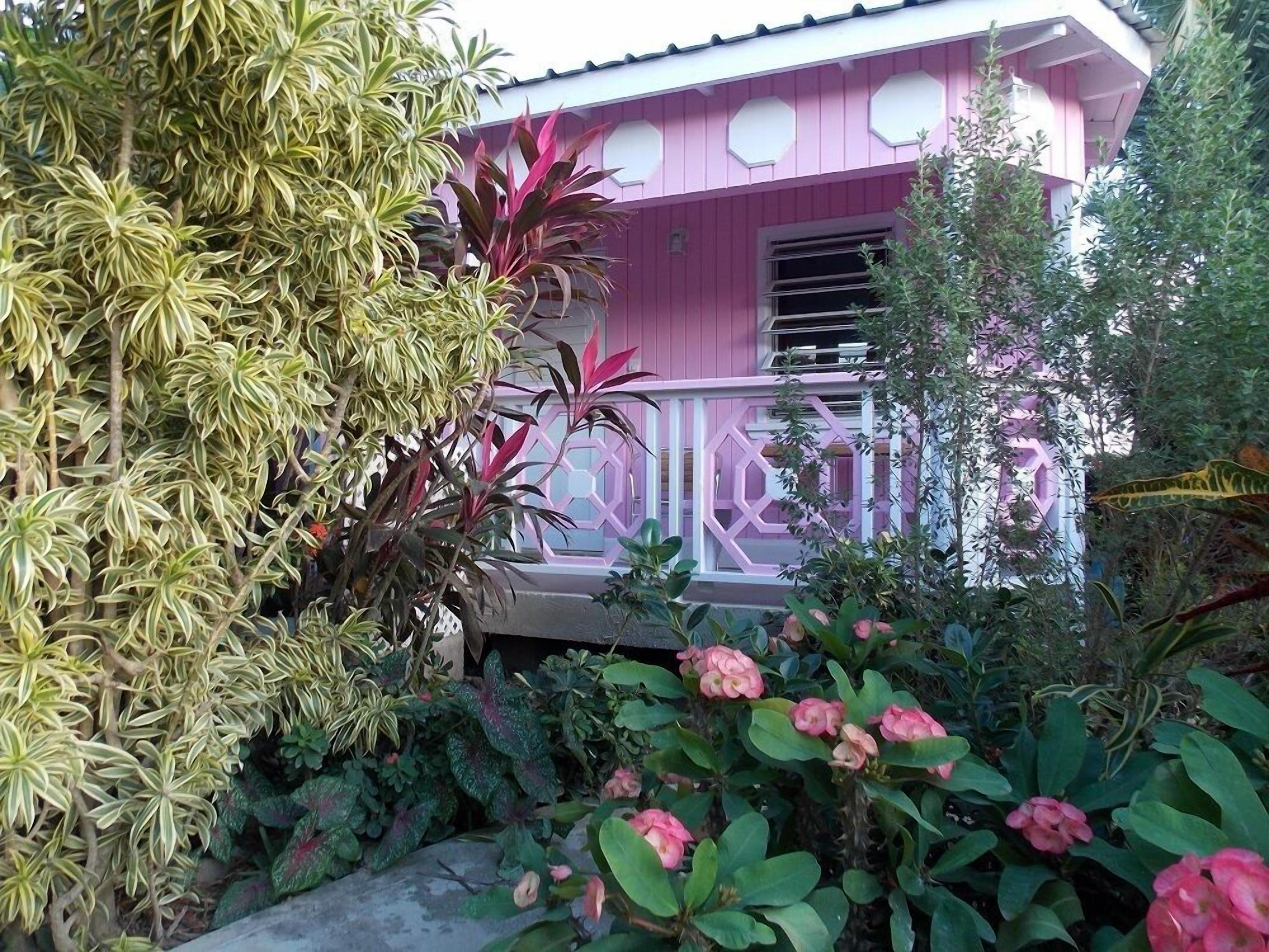 Amazing And Affordable Pinkshacktoo Awaits Pinkshackers in Five Islands Village in St Johns, Antigua and Barbuda