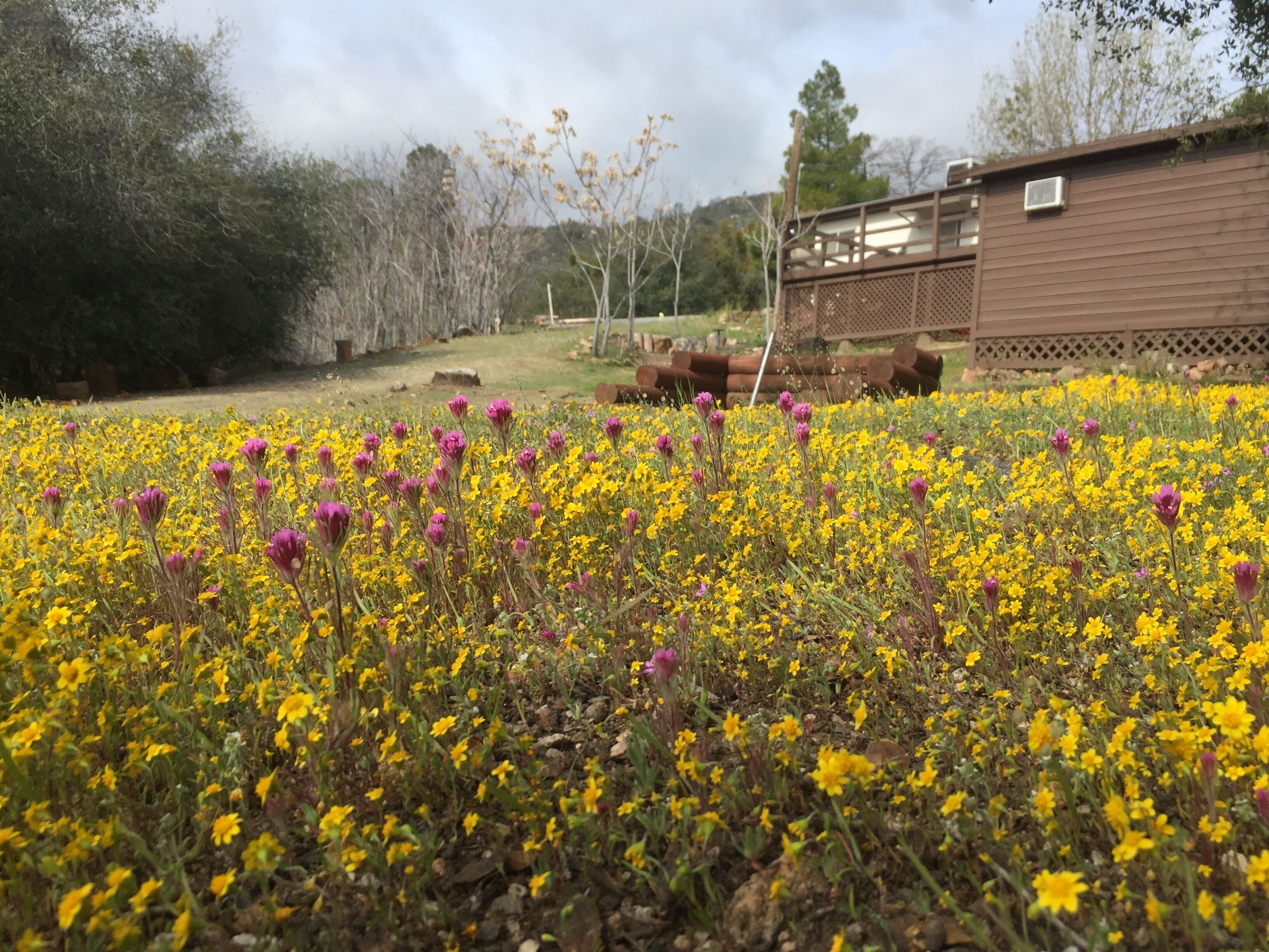 Shirley Creek Retreat: A Mountain Oasis in Wofford Heights, United States