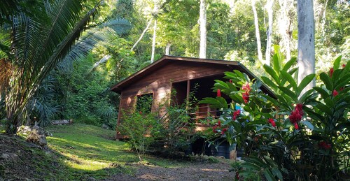 Best Cabins In Benque Viejo Del Carmen For 2020 Find Cheap 25