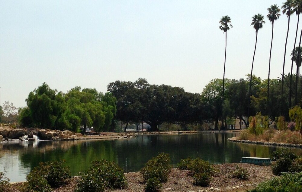 Spanish in Walkable Silverlake remodel, view of Rowena