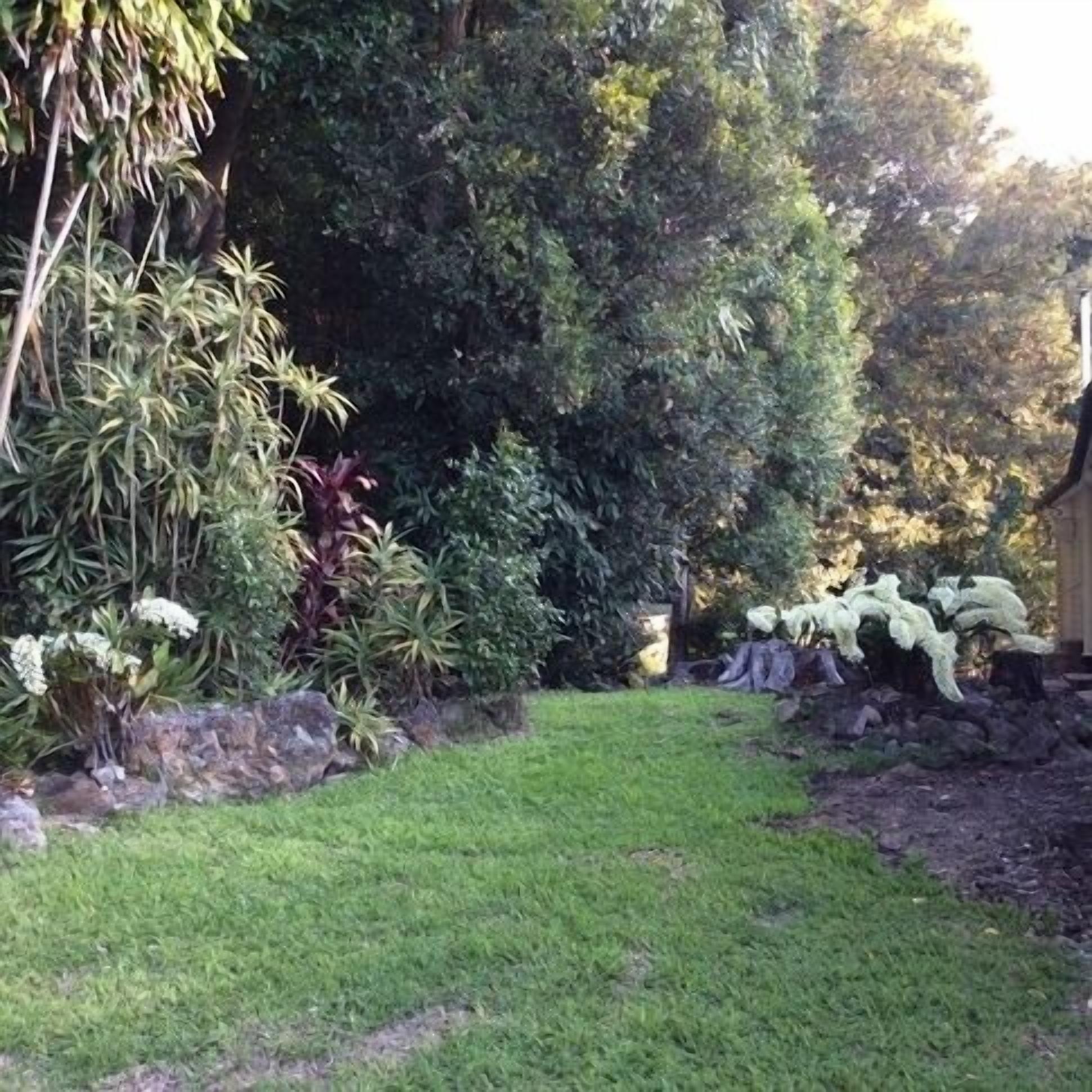 Beaumont High Country Homestead - Peaceful Getaway on a Working Cattle Property