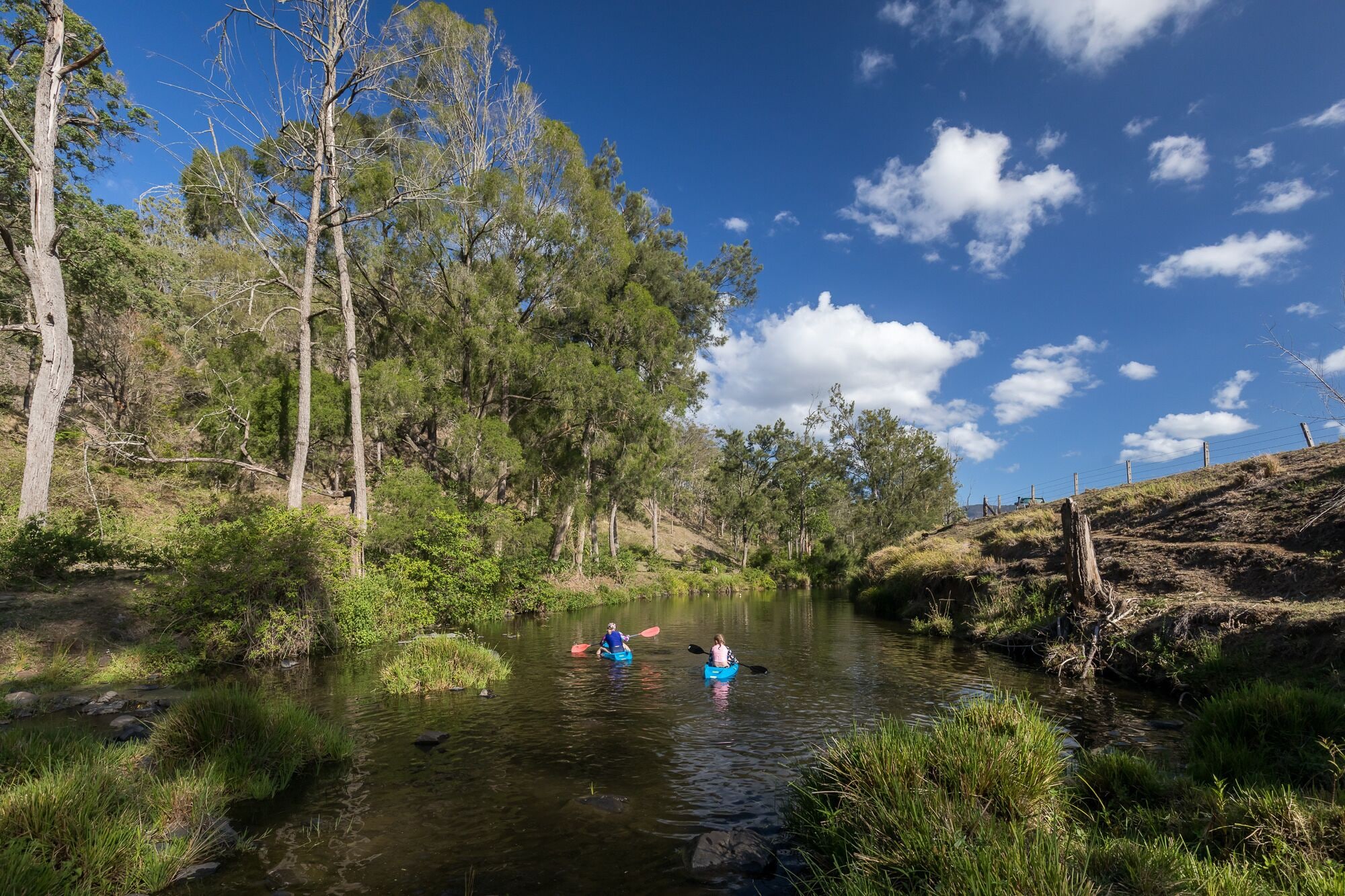 Beaumont High Country Homestead - Peaceful Getaway on a Working Cattle Property