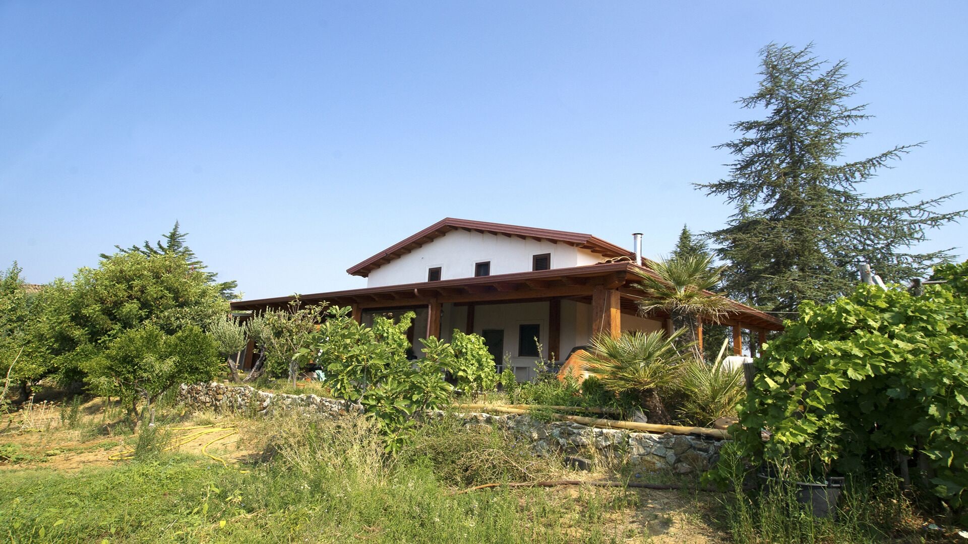 Farmhouse Typical Kitchen Direct Sales Bio Products in Santa Sofia dʼEpiro in Santa Sofia DEpiro, Italy