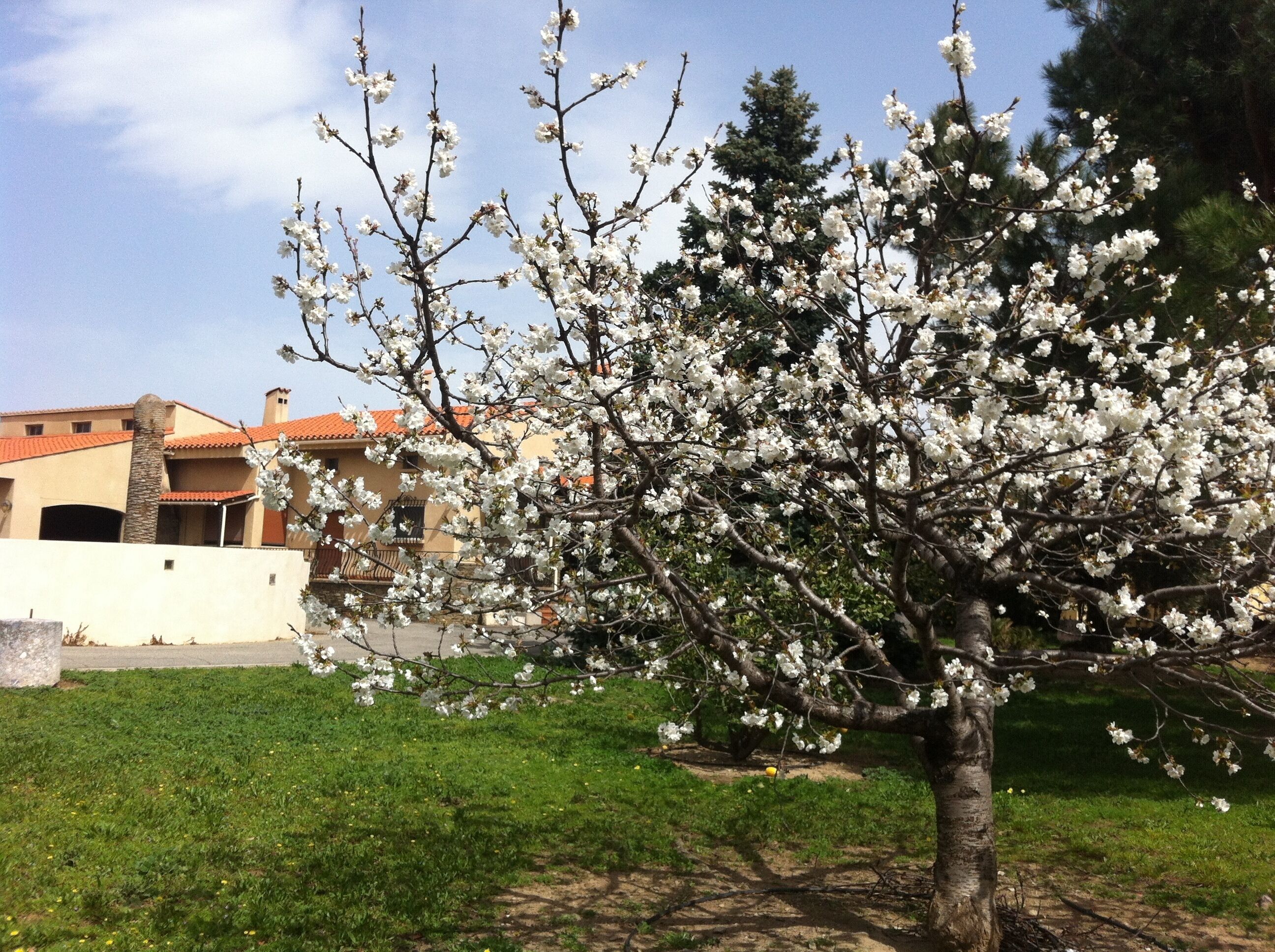 "La Maison Catalane" 4/5/6/7/8 Pers, Decreasing Price, Garden 2800 M2, Swimming Pool, air Conditioning in Ille-sur-Tet in Ille-sur-Têt, France