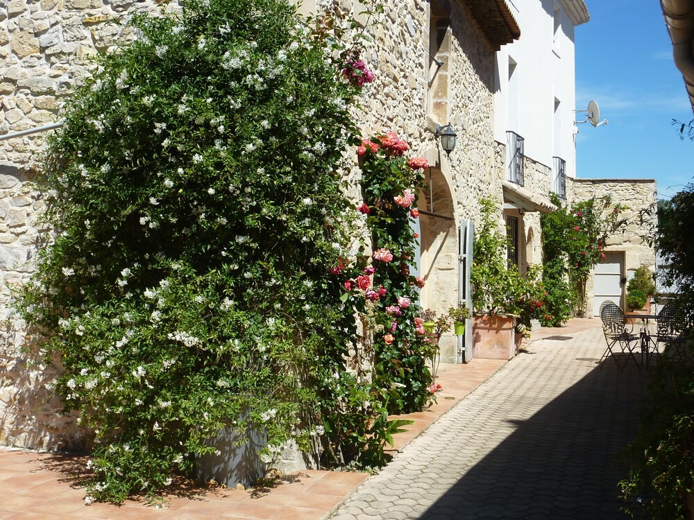 Charming House In Town Walled Garden Swimming Pool Rich