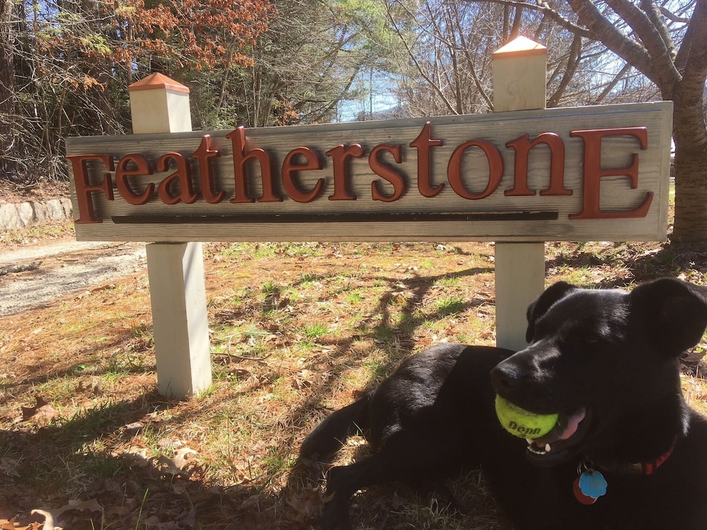 FEATHERSTONE!  Unique Cottage Getaway in Hendersonville, N.C.