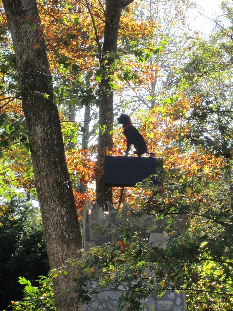 FEATHERSTONE!  Unique Cottage Getaway in Hendersonville, N.C.