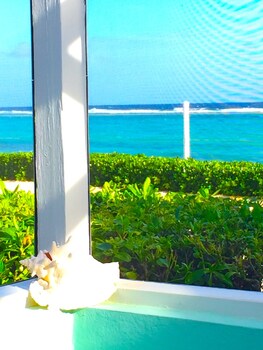 Kiwi Kai Sea Lodge Beachfront Rum Point Rental With Ac