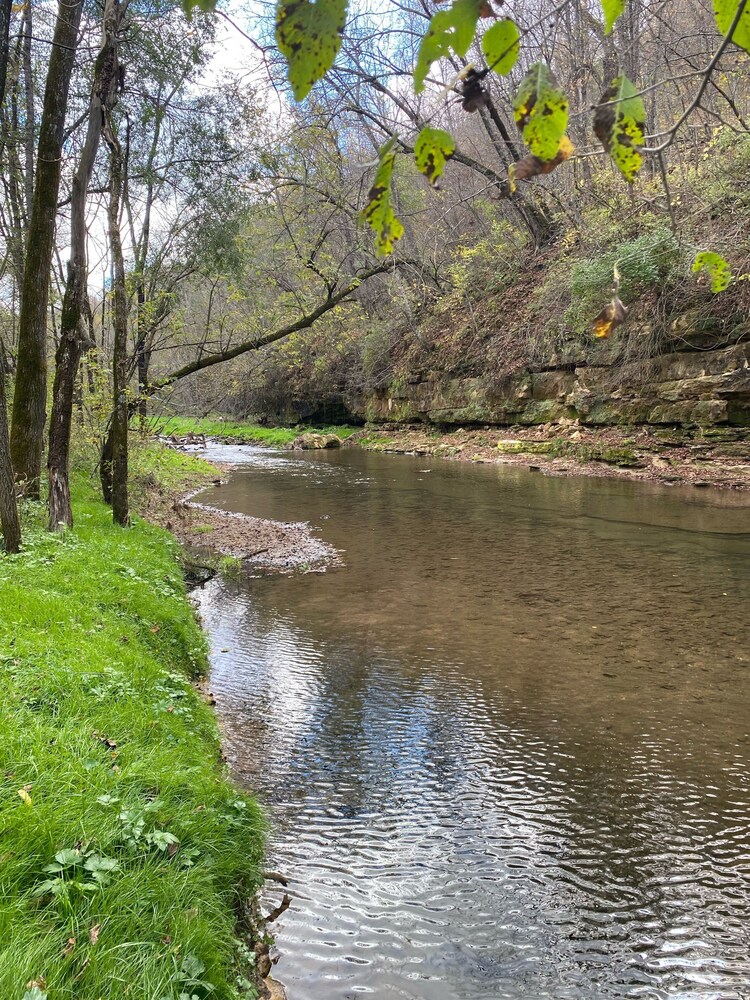 Fly Fish the Bad Axe RiverSecluded Cabin140 acresVernon Vineyard 1