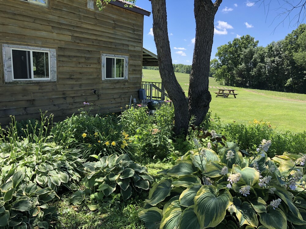 Fly Fish the Bad Axe RiverSecluded Cabin140 acresVernon Vineyard 1