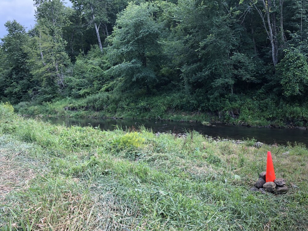 Fly Fish the Bad Axe RiverSecluded Cabin140 acresVernon Vineyard 1