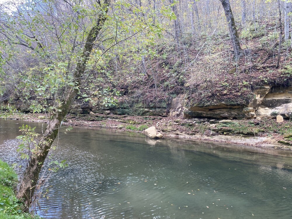 Fly Fish the Bad Axe RiverSecluded Cabin140 acresVernon Vineyard 1