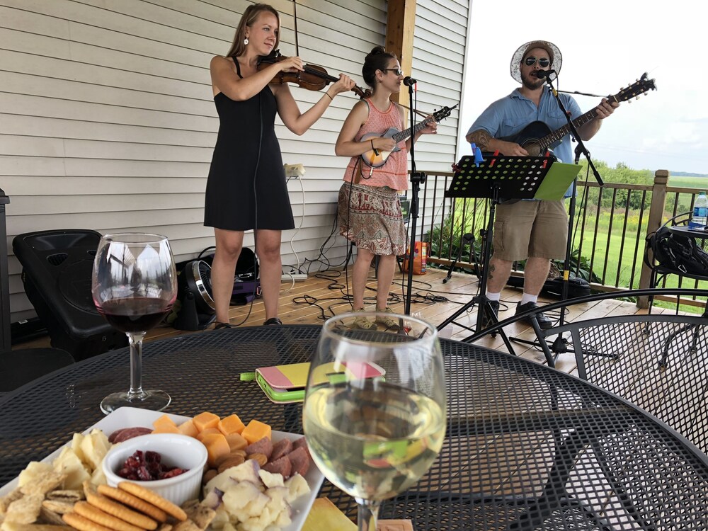 Fly Fish the Bad Axe RiverSecluded Cabin140 acresVernon Vineyard 1