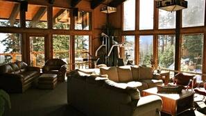 TV, fireplace, DVD player, books