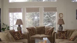 TV, fireplace, DVD player, books