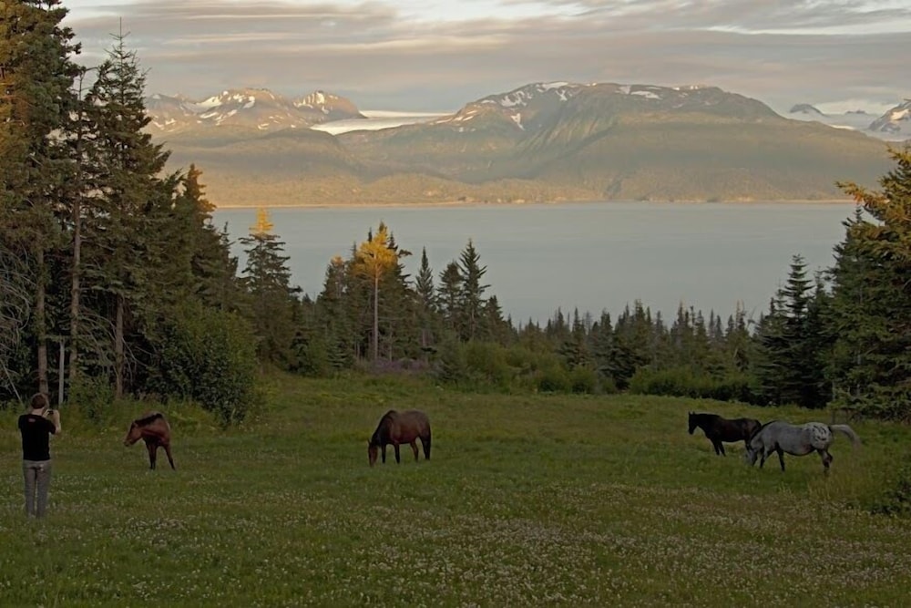 Eagles rest at the Kilcher Family Homestead in Alaska The Last Frontier