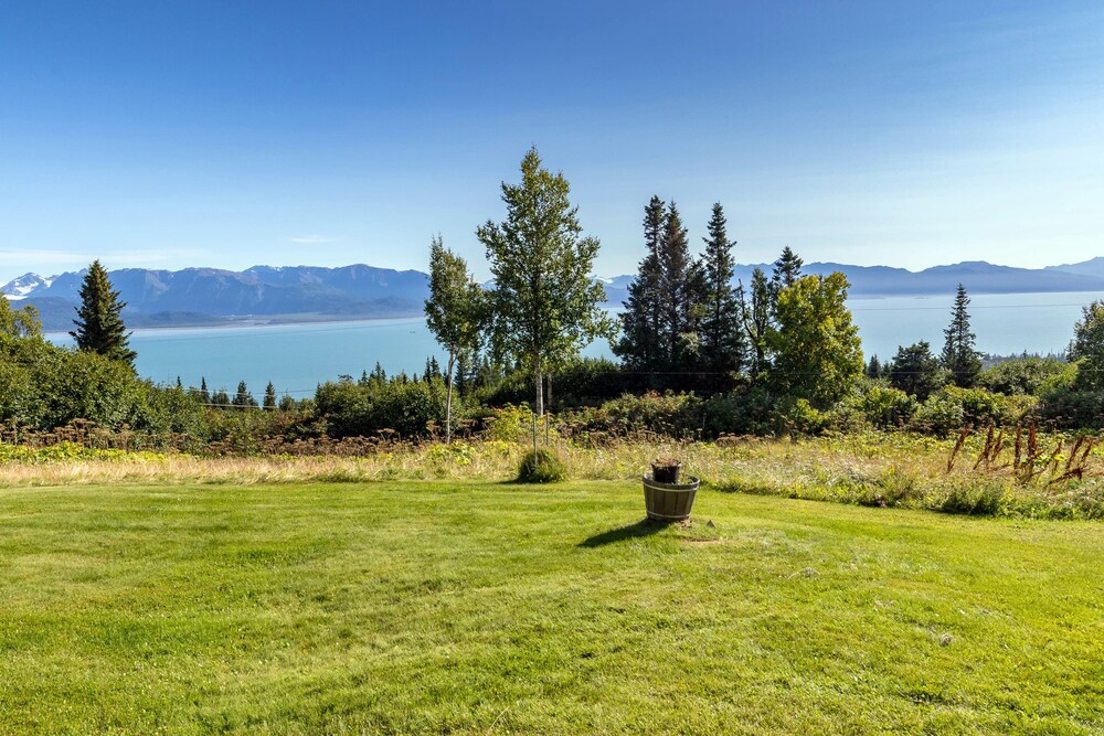 Eagles rest at the Kilcher Family Homestead in Alaska The Last Frontier Kachemak Bay in Homer